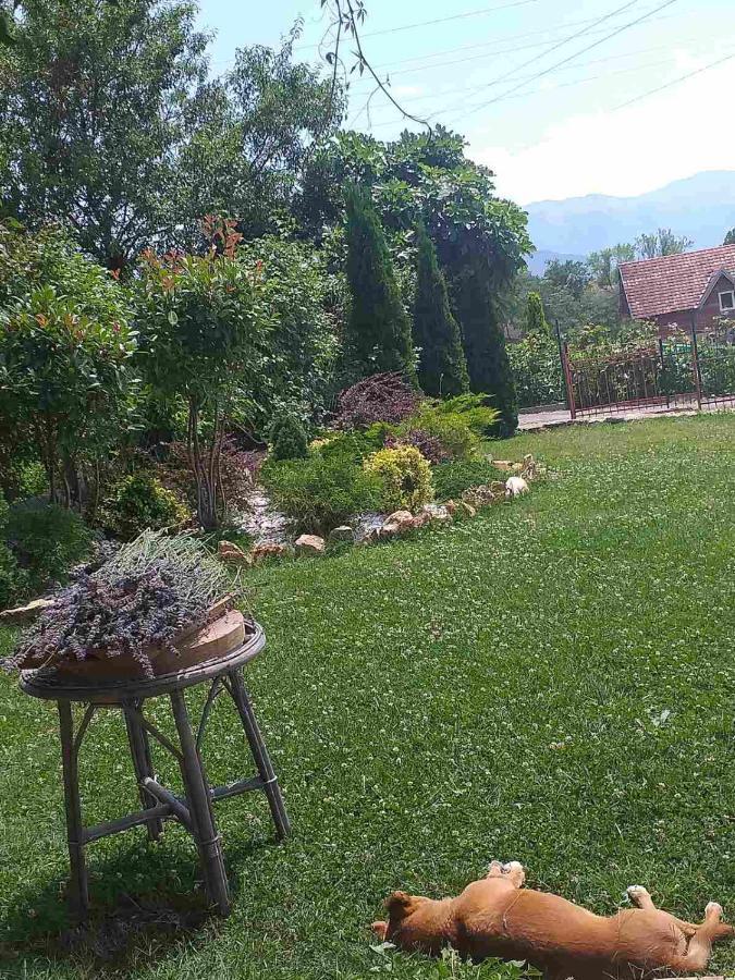 Villa Silva Ohrid Bagian luar foto