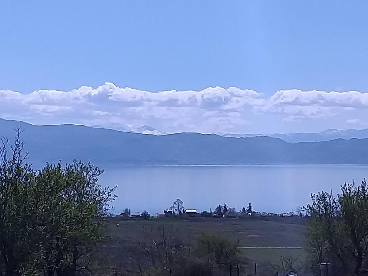 Villa Silva Ohrid Bagian luar foto