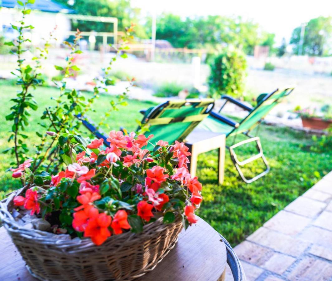 Villa Silva Ohrid Bagian luar foto