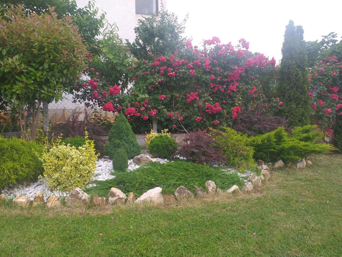 Villa Silva Ohrid Bagian luar foto