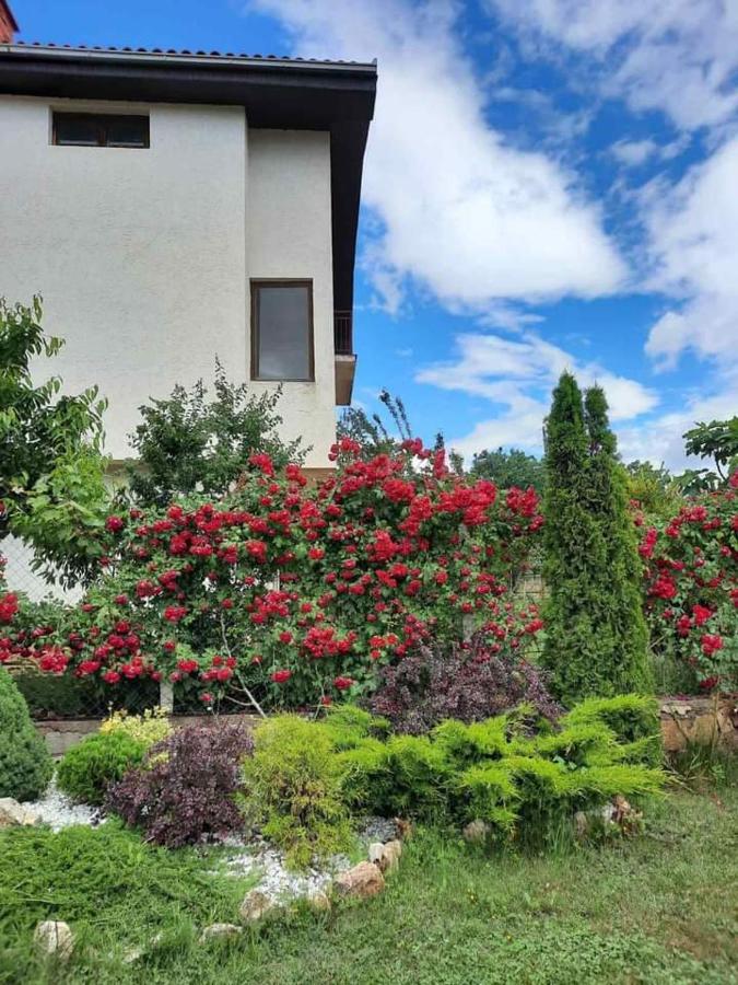 Villa Silva Ohrid Bagian luar foto