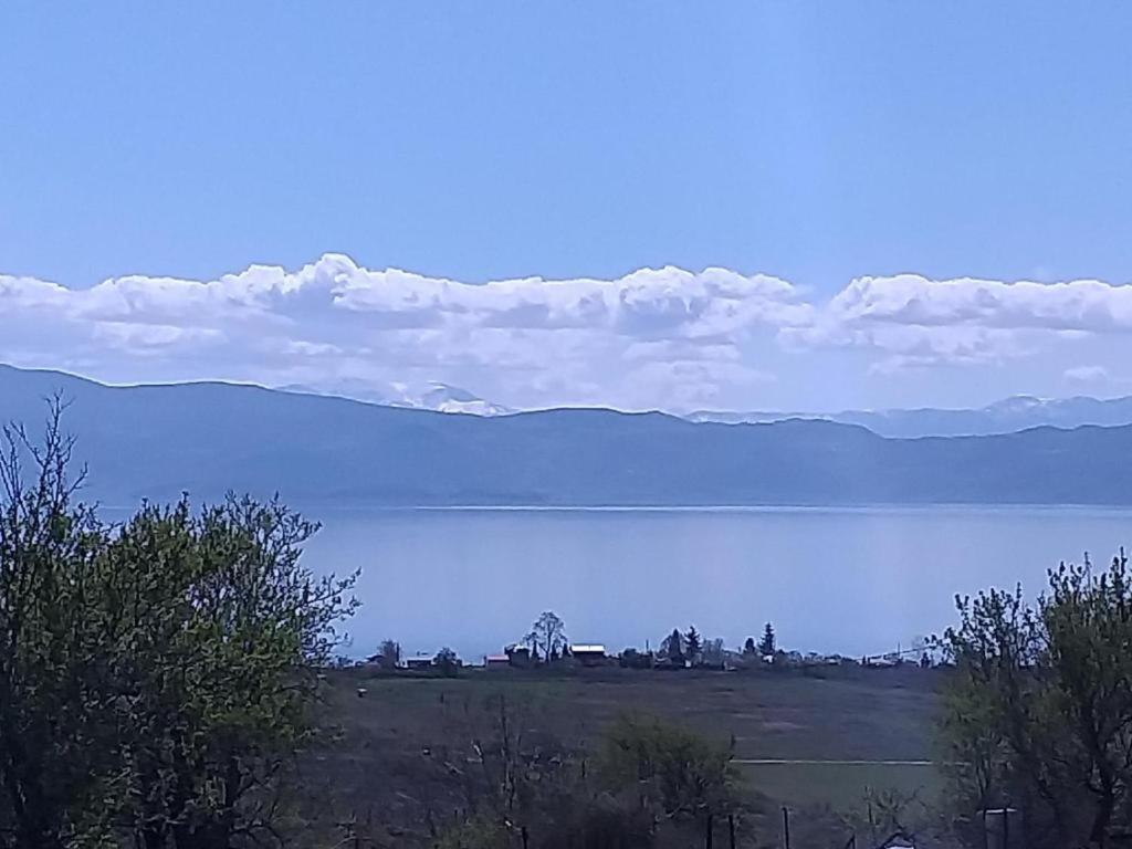 Villa Silva Ohrid Bagian luar foto